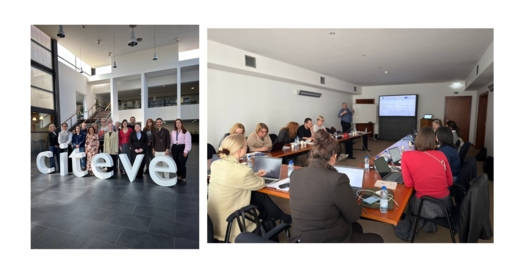 Reunião de Consórcio do Projeto TEX‑BREIN realizou‑se em Portugal 